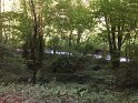2018-09-17 11-09-42 Rando Combas JLe